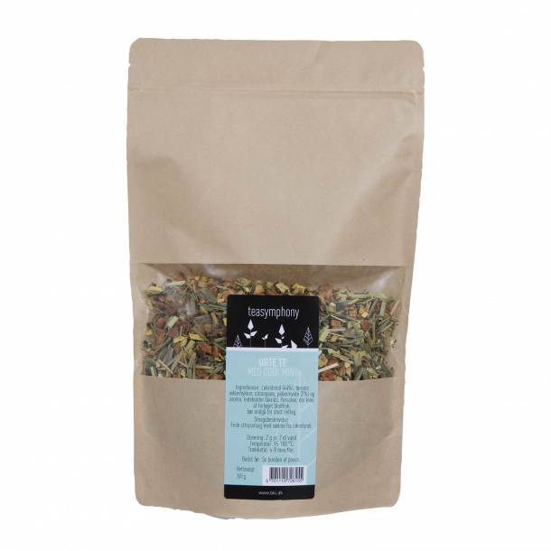 URTE TE - COOL MINT - 200g